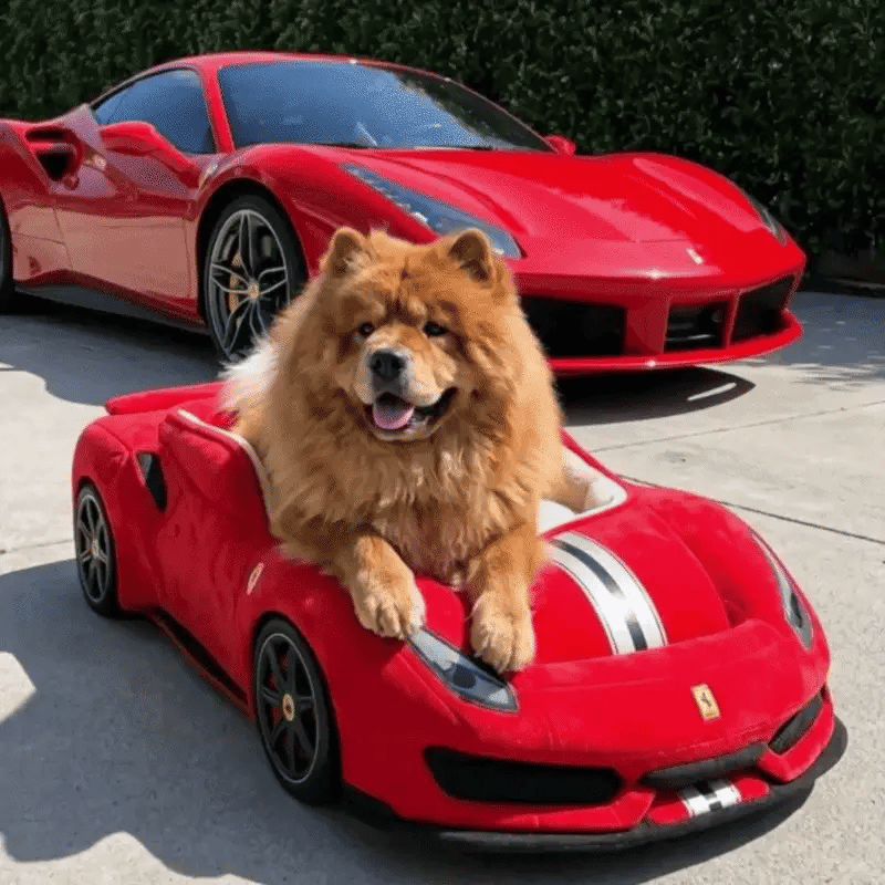 Leur petit bolide de luxe, rien qu'à eux